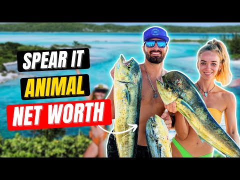 How much does Spear It Animal earn? | Spear It Animal Net Worth