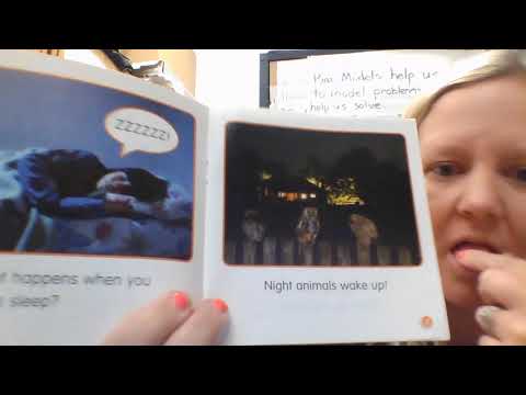 Night Animals- Read Along with Mrs. Tara