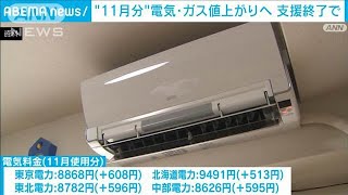 11月使用分の電気・ガス料金値上がりへ　緊急支援終了で(2024年10月30日)