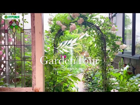 🕊Garden Tour🕊102：裏庭の秘密の庭に家族それぞれ好きな記念樹を植え、その足元を花壇にして季節ごとに咲くお花を楽しむお庭