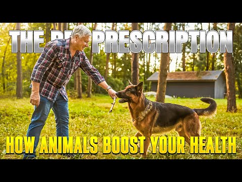 The Pet Prescription: How Animals Boost Your Health  ||  Healthcare Humanized™