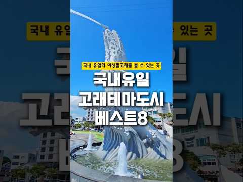 국내 유일 야생돌고래 탐사를 할 수 있는 장생포에는 고래의 모든 것을 볼 수 있습니다. 풀영상은 일상이여행 유튜브에서 확인하세요. #고래 #고래문화특구 #고래잡이