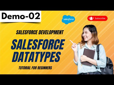 Salesforce Development Demo 02 | Salesforce Datatypes | Tutorial for Beginners