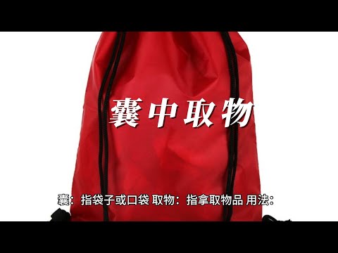 中国語 中国 成语 囊中取物