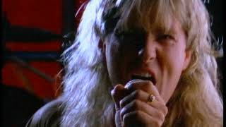 Def Leppard - Animal