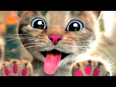 Cute Kitten Little Cat Adventure - Play Fun Pet Care - Preschool Educational Games #1144