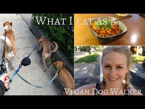 What I Eat as a VEGAN Dog Walker