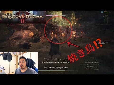 こんな色々なモンスターがいるの⁉️| ドラゴンズドグマ 2「Dragon's Dogma 2」