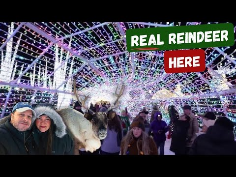 The World's LARGEST Christmas Light Maze - Enchant🎄