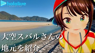 【大空スバル】私がスバ友であり続ける本当の理由。【ホロライブ・Vtuber】