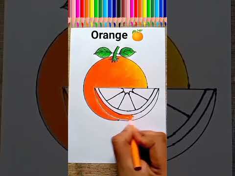 how to draw orange easily#shorts#orange#shortvideo#short#viralshorts#youtubeshort #easyartwithbiplab