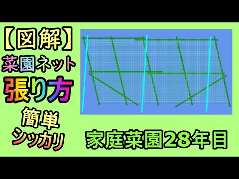 【図解 菜園ネットの張り方】簡単しっかり 家庭菜園28年目  無農薬 半自給自足