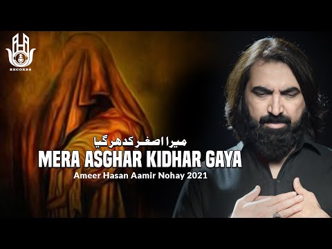 New Noha 2021 | Mera Asghar Kidhar Gaya | Ameer Hasan Aamir | Noha Ali Asghar