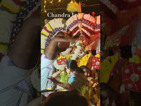 Chandra Layout Celebration ( Annamma Devi ) #god #hindu #banaglore #bengaluru #india #vijayanagar