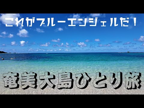 【島旅】奄美大島にはこんなに綺麗なビーチが待ってました（奄美大島ひとり旅後編）