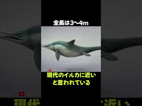 ありきたりな魚竜「ステノプテリギウス」の生態 #動物 #生き物 #shorts #雑学 #豆知識 #おもしろい #恐竜