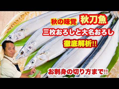 【今が旬】秋刀魚の捌き方とお刺身の切り方教えます‼