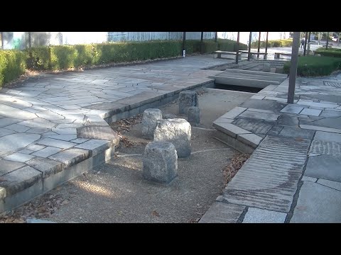 短辺映画　散歩道