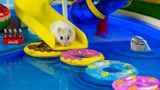 🐹MEGA HAMSTER RACE 🐹 maze with Traps hamster🐹 Minecraft Maze😱[OBSTACLE COURSE]😱