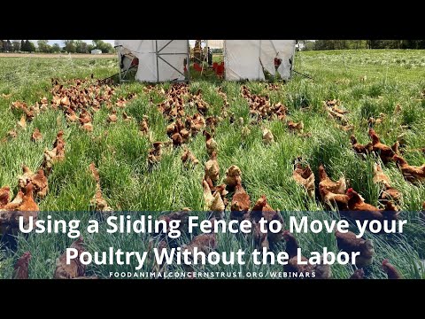 Using a Sliding Fence to Move your Poultry Without the Labor