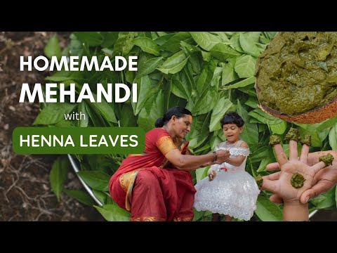 Grandma Makes Homemade Mehandi with Fresh Henna Leaves Village Style | Secret Tips for Dark Stain