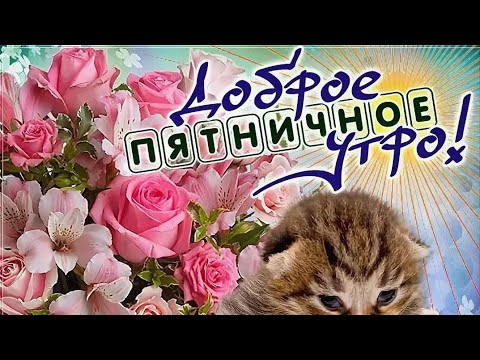 💞 С добрым утром пятницы, любимый, милый ‼️Отличных выходных ‼️