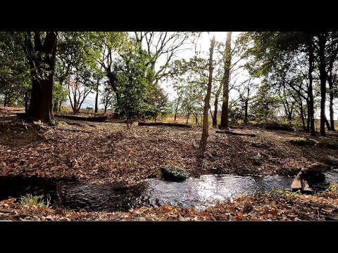 【1h】Soothing Flowing Water Sounds in Rural Japan | Relaxing Nature Sounds for Peaceful Mind