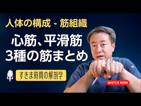 心筋、平滑筋、３種類の筋まとめ【 #かずひろ先生 #解剖学 】