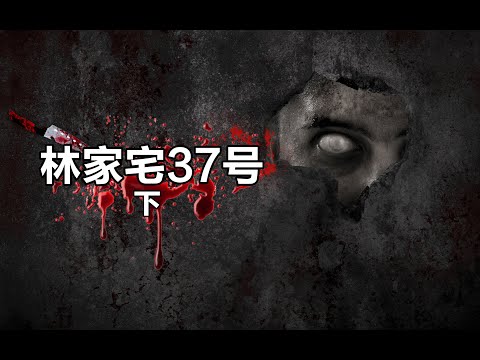 林家宅37号 (下)无脑人叶先国！ 128期