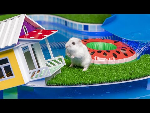 🐹 Hamster Escapes the Rainbow POP IT Maze