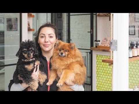 Dog Grooming Salon Tour | Welcome to Hackney Barkers!