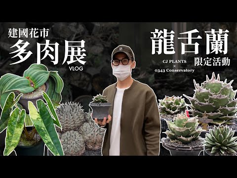 一日建國多肉展&龍舌蘭限定活動!!見百萬珍奇植物,荷包也難保啊?!【VLOG】