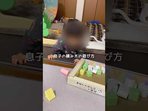 【1歳】独特な積み木の遊び方とは