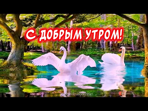 ТЕБЕ СЕГОДНЯ ОТ МЕНЯ🕊️Очень Красивые пожелания с добрым утром! С добрым утром и хорошим днем