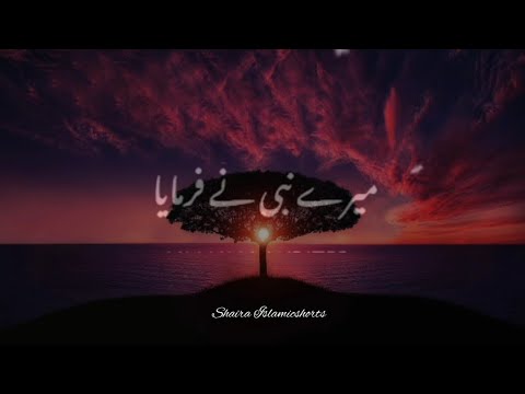 Mere Nabi Paak 'ﷺ' Ne Farmaya 🥀 | Islamic WhatsApp Status |