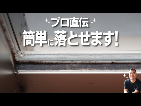 【ゴムパッキンのカビ】　余裕で落とします。しかも簡単でコスパ最強。