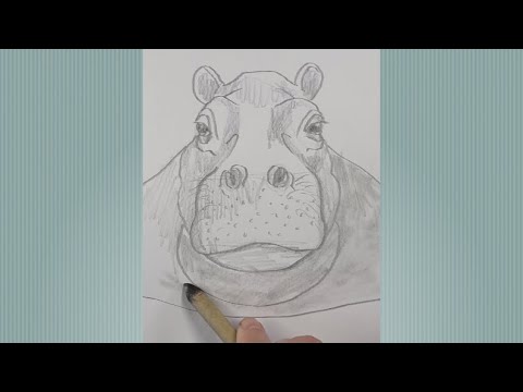 Draw a realistic hippo in real time!