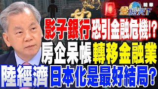 【精華】影子銀行恐引發另類金融危機！？房企呆帳轉移金融業 中國經濟日本化是最好結局？ #陳松興 @tvbsmoney 20231227