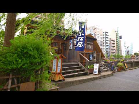 Tokyo [8K HDR] A walk starting from Bakuro Yokoyama Station