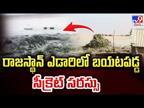 రాజస్ధాన్ ఎడారిలో బయటపడ్డ సీక్రెట్ సరస్సు | Lake Found in Rajastan Desert - TV9