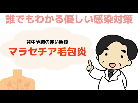 【マラセチア毛包炎】高温多湿の汗をかく季節に要注意‼︎〜誰でもわかる優しい感染対策〜