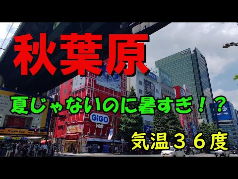 【秋葉原】まだ夏じゃないのに暑すぎ！？｜熱中症要注意