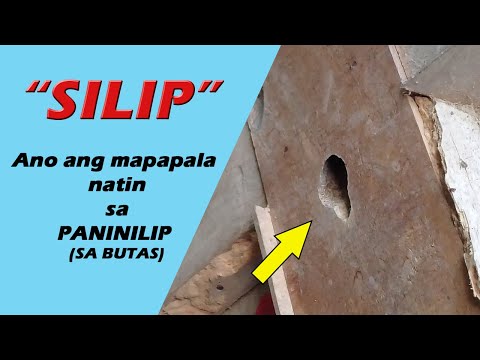 SILIP - Ano ang mapapala natin sa PANINILIP? by Anak Bukid