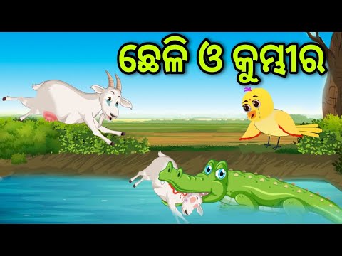 ଛେଳି ଛୁଆ ଓ ଦୁଷ୍ଟ କୁମ୍ଭୀର | Chheli Chhua O Dusta Kumbhira | Tiki Chadhei | Odia Gapa | Chadhei Gapa