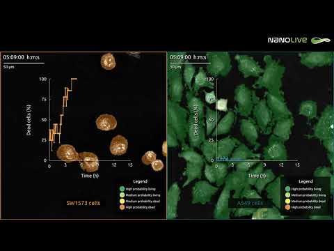 Evaluating Cell Death in Digitally Stained Lung Cancer Cells Exposed to Compound A