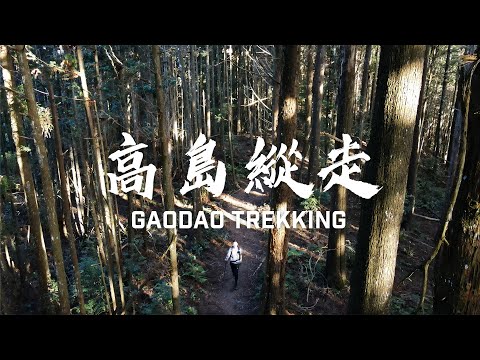 【#高島縱走/Gaodao Trekking】竟讓外國人喊「很糟糕」？陡上爬樹攀岩沒在客氣！但美到想哭怎麼辦(請開字幕)