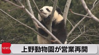 上野動物園再開 双子パンダは25日から（2022年3月23日）