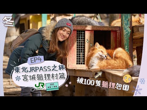 【☃️東北JrPass之旅】DAY4 抱抱狐狸超開心🦊「宮城藏王狐狸村」世上唯一專門飼養狐狸的動物園！太可愛了吧😍＋到步福島吃喜多方拉麵