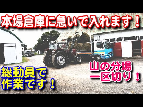 【トラクター】本場倉庫に搬入します！今晩から雨です急げ！