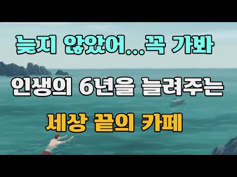 지금 세상 끝의 카페에 가면 6년의 인생이 늘어납니다. 푸른 바다 거북이를 만나고 배우는 삶의 두 번째 문. 존 스트레레키. 켈리 최.